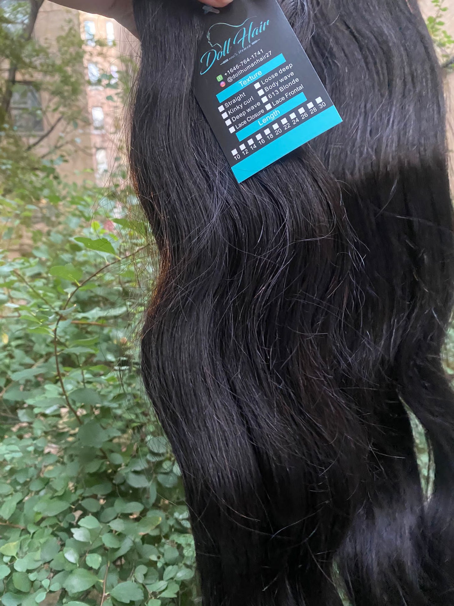 Body Wave